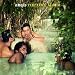 The Love Album
