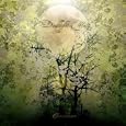 Omniscience