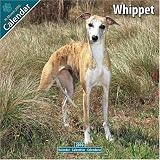 Whippet 2010 Wall Calendar #10079-10