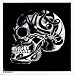 Celtic Skull on Black Square - Sticker / Decal Image
