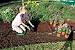 Perm-A-Mulch Recycled Redwood Rubber Pathway -18