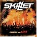 Comatose Comes Alive (W/Dvd)