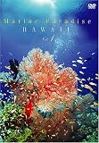 Marine Paradise Vol.1 ~ハワイ編~ [DVD] 石川ヒロヤ