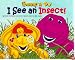I See an Insect! (Barney & BJ)
