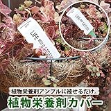 インテリア&ガーデニング雑貨 植物栄養剤 アンプルカバー 栄養剤カバー