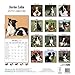 Border Collie Calendar - Breed Specific Border Collies Calendar - 2015 Wall calendars - Dog Calendars - Monthly Wall Calendar by Avonside