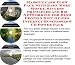 Book Massive Cash Flow Pack with Earn More Money, Success Principles and Biz Networking for High Protein Diet Guides Internet Businesses 3 CD Power Pack
