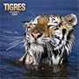 Tigres 2006 Calendar