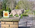 Silent Roar Lion Manure - Cat Repellant