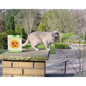Silent Roar Lion Manure - Cat Repellant