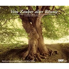 Vom Zauber alter B�ume 2007. Ein Fotokunst-Kalender.
