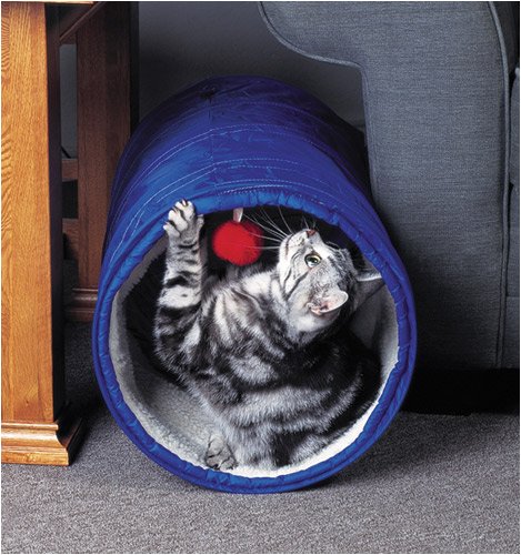 Cat-A-Trail Tunnel