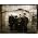 Thumbnail image of Devotchka