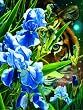 Fantasy Tiger 500pc Jigsaw Puzzle by Wayne Weberbauer