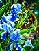 Fantasy Tiger 500pc Jigsaw Puzzle by Wayne Weberbauer