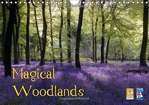 Magical Woodlands 2017: The Beauty of British Woodlands Throughout the Year. (Calvendo Nature)