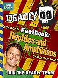 Reptiles and amphibians