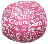 Catnip Toy - Beach Ball