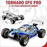 TORNADO EXP PRO BUGGY ~ NOW WITH 2.4GHz RADIO ~ 1/10 SCALE RC ~ BRUSHLESS ELECTRIC ~ By REDCAT RACING ~ BLUE
