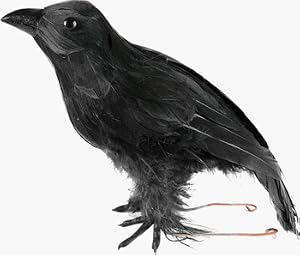 Small Fake Crow Prop