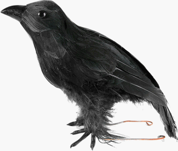 Fake Halloween Crow