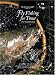 Fly Fishing for Trout in Streams: A How-To Guide (The Freshwater Angler)