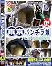 東京パンチラ娘02 [DVD]