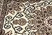 Oriental Traditional Isfahan Persian Area Rugs Ivory Cream 2 x 3