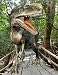 Monolophosaurus Lost in the Woods - 18