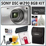 Sony Cyber-Shot DSC-W290 12.1 MP Digital Camera in Silver + Deluxe 8GB Accessory Kit