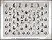 Portraits & Autographs Of The Signers Of The Declaration Of Independence (reprint 24" X 18")