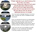 Search Our Specialty Mall : The Special Generate Extra Cash, Godfather Principles and Accounting & Finance for Stamp Collecting Supplies Web Biz 3 Course + Resource Guide