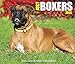 2016 Just Boxers Box Calendar