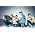Vignette de Black Lips