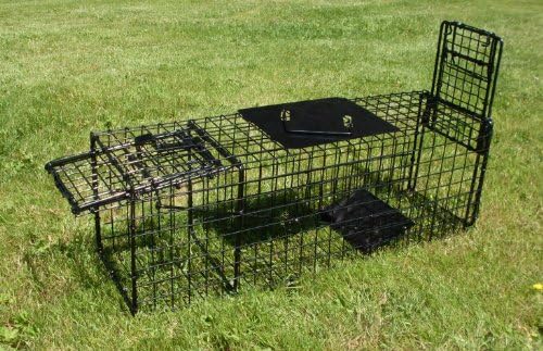 Freeshipping 30"x11"x12" Long Lasting Raccoon, Feral Cats, Opossums Trap W/rear Door