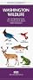 Washington State Wildlife: An Introduction to Familiar Species (Pocket Naturalist Series)