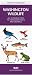 Book Washington Wildlife: An Introduction to Familiar Species (Pocket Naturalism Series)