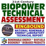 21st Century Biopower Technical Assessment National Renewable Energy Laboratory Report on the State of the Industry and Technology for Producing Electricity and Heat from Biomass, Cofiring, Gasification, Energy Crops, Forest Residues, Environmental Impacts   Series on Renewable Energy, Biofuels, Bioenergy, and Biobased Products