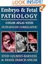Embryo and Fetal Pathology: Color Atlas with Ultrasound Correlation