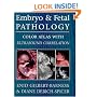 Embryo and Fetal Pathology: Color Atlas with Ultrasound Correlation