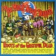 The Music Never Stopped: Roots of the Grateful Dead