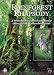 Rainforest Rhapsody