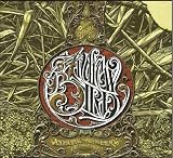 Anonanimal/See the Enemy [VINYL]