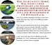 image 24 - The Gurus Get More Biz Godfather Principles and