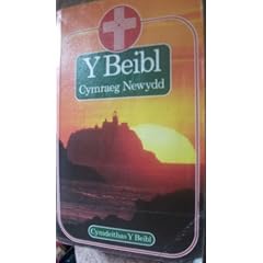 Y Beibl Cymraeg Newydd: New Welsh Bible