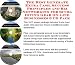 The Best Generate Extra Cash, Success Principles and Biz Networking for Scuba Diving Gear On-line Businesses 3 CD Pack