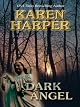 Dark Angel (Maplecreek Amish Trilogy)