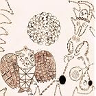 Rejoicing in the Hands by Devendra Banhart