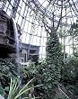 Houston Museum of Natural Science Photograph - Beautiful 16x20-inch Photographic Print by Carol M. Highsmith