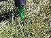 Palmetto Golf 100 Ct 6